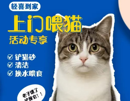 细节说明